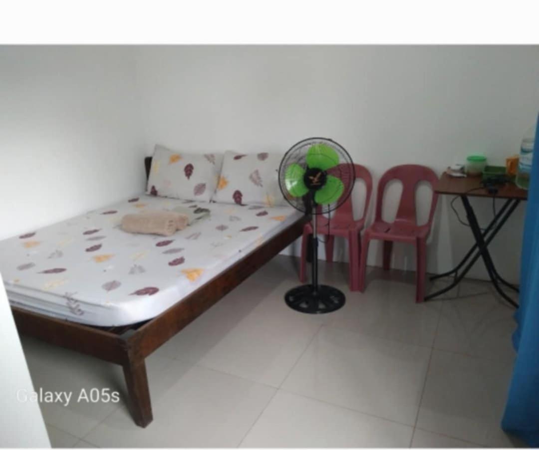 Francis Home Stay Port Barton Bonifacio Street San Vicente  Zewnętrze zdjęcie